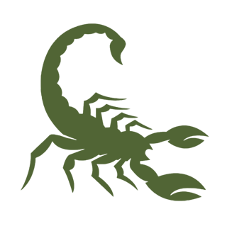 Scorpions