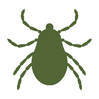 Ticks