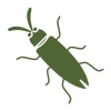 cucaracha cucaracha